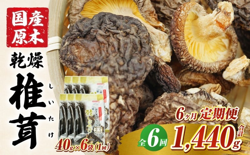【6ヶ月定期便】乾燥しいたけ 240g（40g×6袋）×6回 1,440g_Tk004-t041