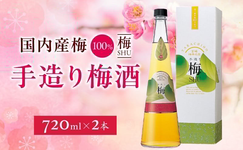 手造り梅酒 14% 720ml×2本セット ふるさと納税 梅酒 酒 アルコール 梅酒セット セット 詰め合わせ ロック ストレート 贈答 贈答用 ギフト プレゼント お祝い 祝い 内祝い 記念日 誕生日 お取り寄せ グルメ 家飲み 宅飲み 飲み会 国産 宮崎県 高千穂町 _Tk007-028