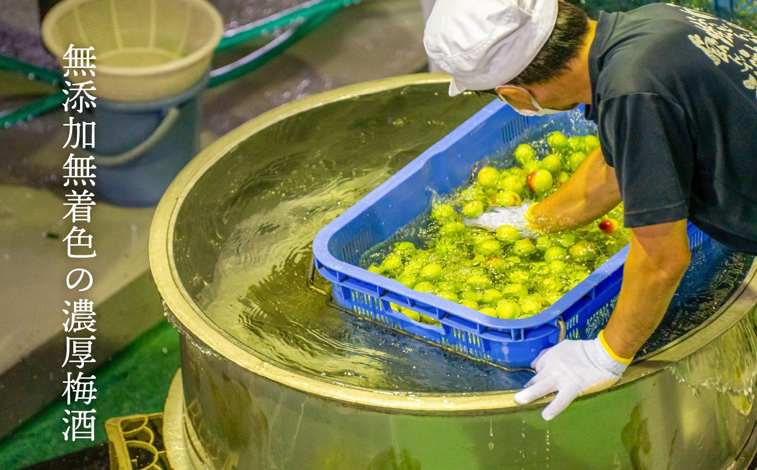 2020年春全国酒類コンクール リキュール部門第1位　熟成梅酒720ml　2本セット　宮崎県高千穂産梅使用_Tk023-013