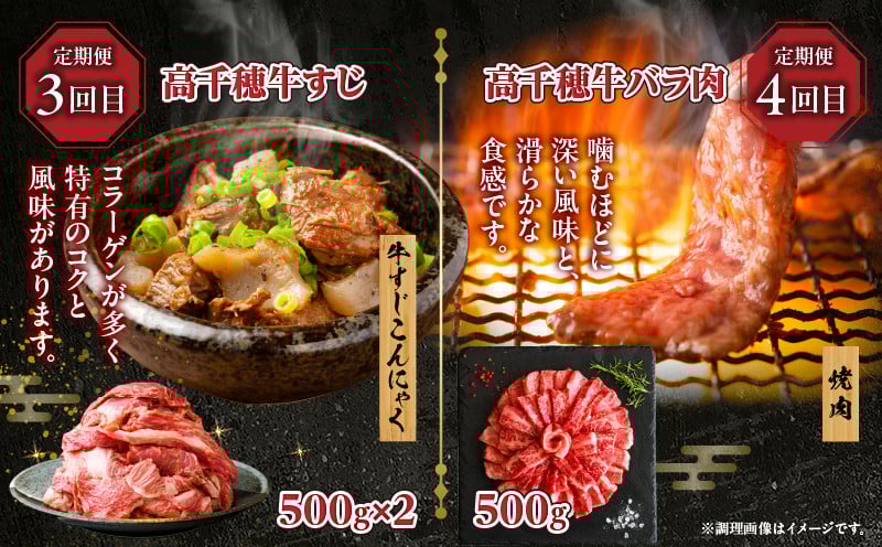 【6か月定期便】高千穂牛煮込み料理6か月定期便_Tk002-t087