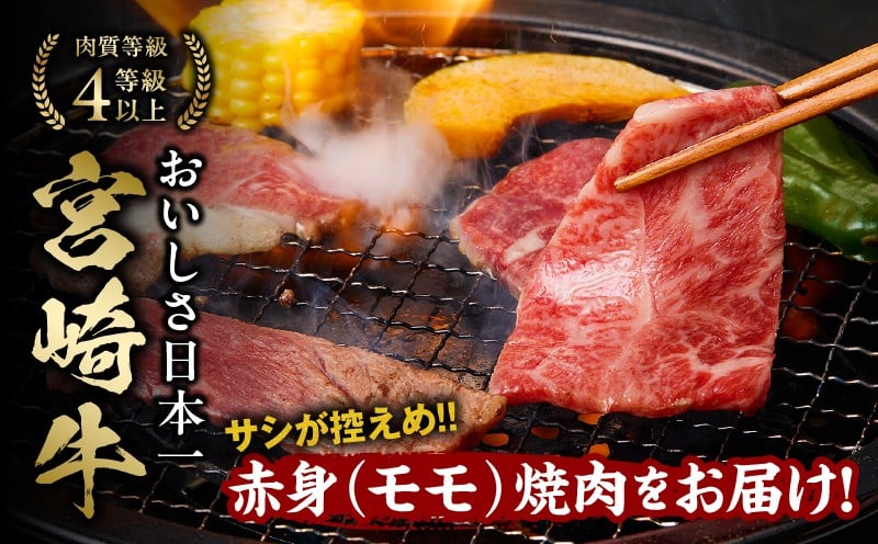 宮崎牛赤身（モモ）焼肉500g_Tk031-016y