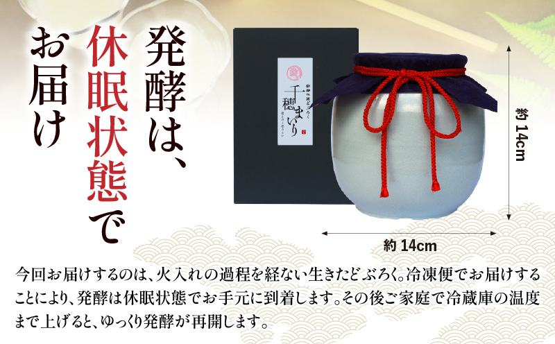 【甘口（千穂まいり　度数：8度）】御神水源どぶろく 900ml×1本 生酒 火入れなし自宅で 熟成発酵できる オリジナルの味が楽しめる 生 どぶろく ふるさと納税 どぶろく お酒 酒 アルコール 晩酌 化粧箱 化粧箱入り 箱入り 贈答 贈り物 ギフト プレゼント 宮崎県 高千穂町 _Tk015-012-ama