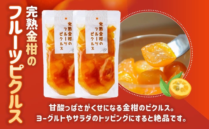 高千穂特産完熟金柑まんきつセット_Tk054-001