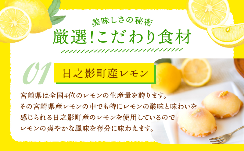 訳あり「宮崎レモンケーキ」 10個入りサイズ不揃い 欠けあり_Tk022-015