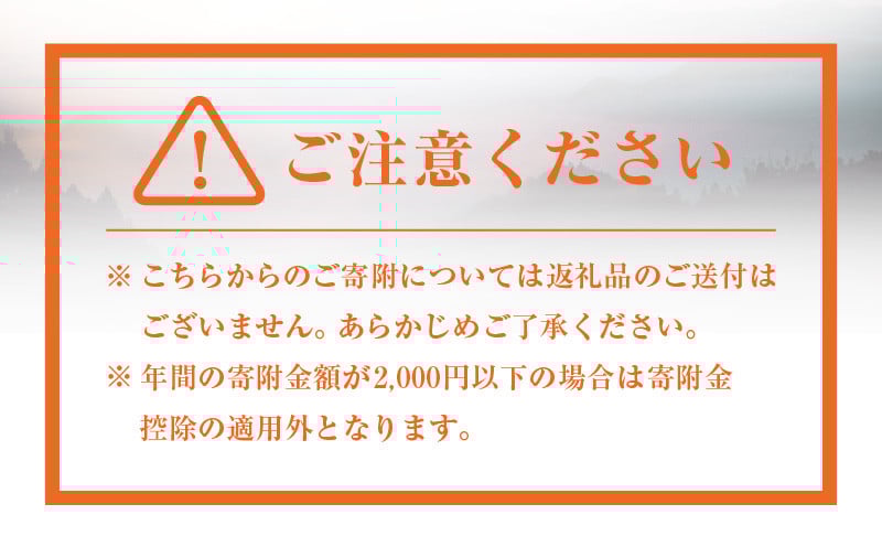 神話の里 高千穂町への応援寄附金【5,000円】（返礼品なし） 宮崎県 高千穂町 神話の里 応援寄附金 活性化 ふるさと納税 宮崎県 高千穂町 _Tk001-013