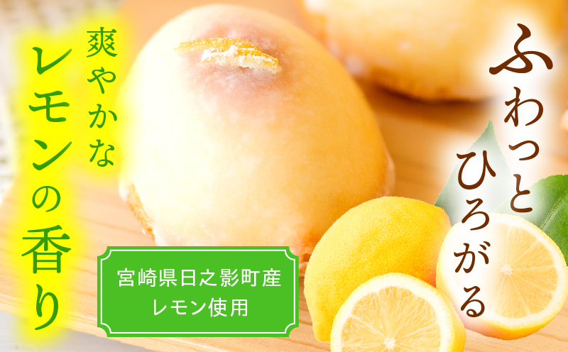 訳あり「宮崎レモンケーキ」 10個入りサイズ不揃い 欠けあり_Tk022-015