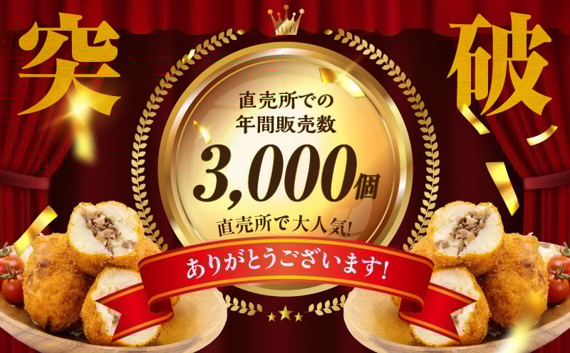 【3か月定期便】レンジでプロ味！黒毛和牛100％コロッケ3か月定期便 ふるさと納税 高千穂郷産 コロッケ 牛肉コロッケ 高千穂牛 宮崎牛 黒毛和牛 和牛 惣菜 お惣菜 おかず おやつ おつまみ お弁当 小分け 個包装 個装 便利 使い勝手 簡単調理 レンジ 冷凍 普段使い 日常使い おすそ分け 贈答 贈り物 ギフト プレゼント グルメ お取り寄せ 宮崎県 高千穂 _Tk005-t045