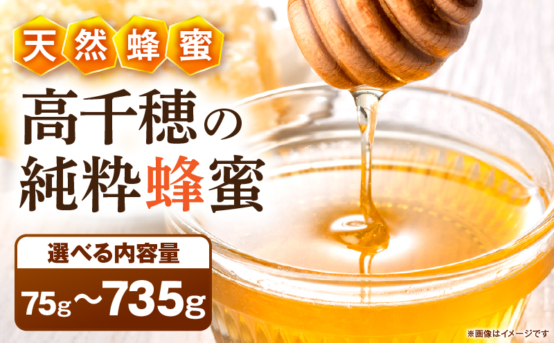 【選べる内容量】日本みつばち 高千穂の純粋蜂蜜|蜂蜜 はちみつ 日本みつばち 純粋蜂蜜 国産蜂蜜 天然蜂蜜 垂れ蜜 蜜蜂 希少 蜂蜜 濃厚 花 伝統製法 特産品 ふるさと納税 返礼品 宮崎県 高千穂町 | _Tk005-099-SKU