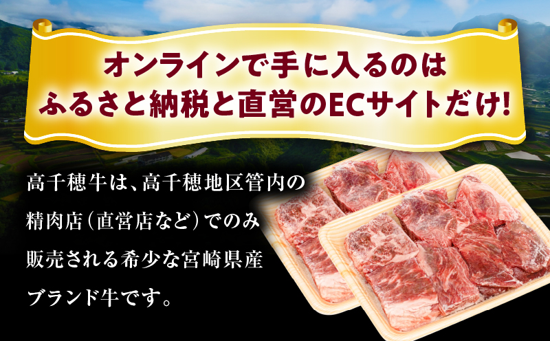 【3ヶ月定期便】 高千穂牛 すね肉 400g×2パック×3回 和牛_Tk002-t076