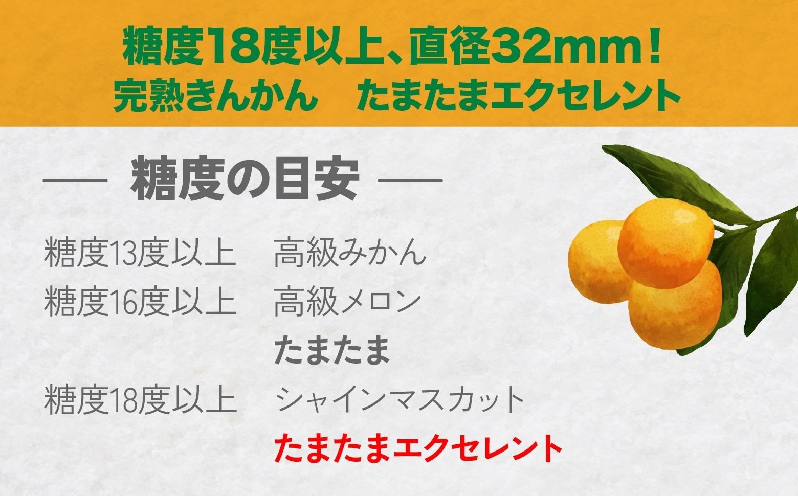 完熟きんかん たまたまエクセレント 1kg 果物 フルーツ デザート スイーツ きんかん きんかんたまたま 完熟 宮崎県産 国産 宮崎産 贈答 贈り物 ギフト プレゼント ブランド 柑橘 柑橘系 柑橘類 おやつ グルメ お取り寄せ 宮崎県 高千穂町 _Tk004-051