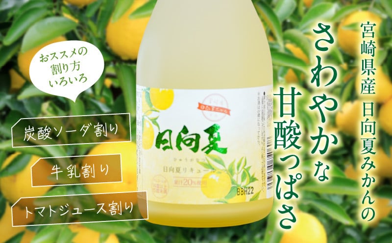 宮崎県産日向夏みかん使用 日向夏リキュール　300ml×6本セット_Tk023-019-h