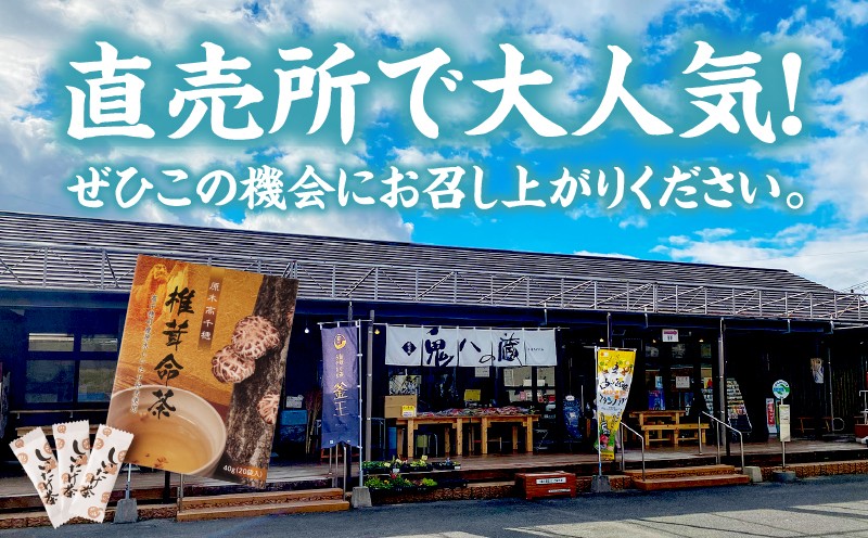 椎茸命茶_Tk005-112