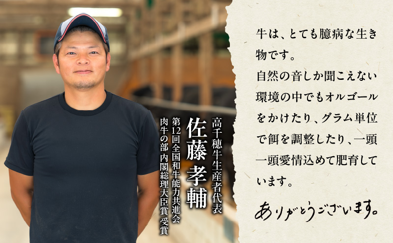 宮崎県産黒毛和牛A4等級以上 高千穂牛サーロインステーキ 250g×2枚 計500g 牛肉 肉 お肉 サーロイン ステーキ ステーキ肉 ブランド牛 和牛 国産牛 国産黒毛和牛 贈り物 贈答 ギフト プレゼント お祝い 内祝い グルメ 記念日 _Tk002-063