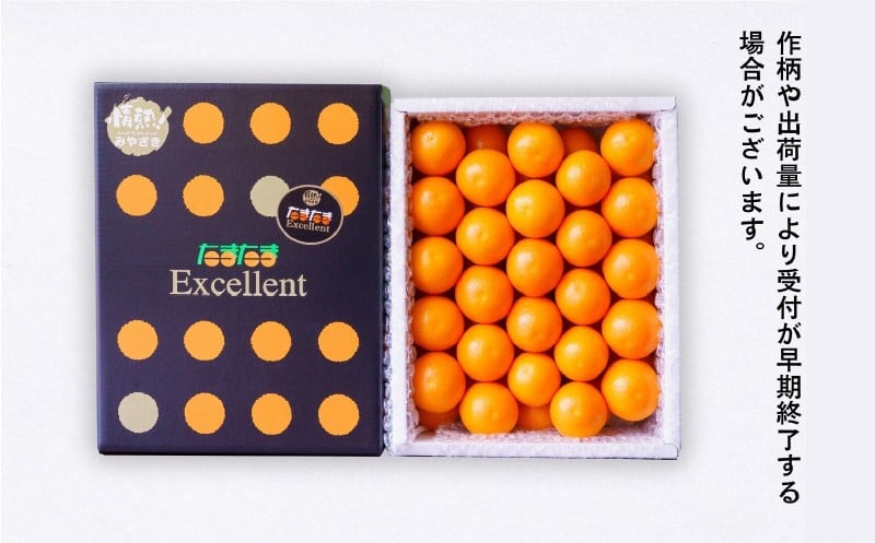 完熟きんかん たまたまエクセレント 1kg 果物 フルーツ デザート スイーツ きんかん きんかんたまたま 完熟 宮崎県産 国産 宮崎産 贈答 贈り物 ギフト プレゼント ブランド 柑橘 柑橘系 柑橘類 おやつ グルメ お取り寄せ 宮崎県 高千穂町 _Tk004-051