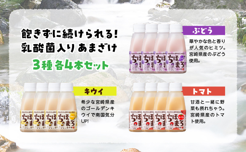 乳酸菌入りあまざけ ちほまろ 150g　12本セット【キウイ トマト ぶどう】 ふるさと納税 ノンアルコール 贈答 贈り物 おすそ分け 日課 ドリンク 飲み物 乳酸飲料 飲料 宮崎県 高千穂町 _Tk015-017-c12