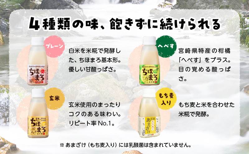 乳酸菌入りあまざけ ちほまろ 150g　30本セット【プレーン8本 へべす8本 玄米7本 もち麦7本】 ふるさと納税 セット 飲み比べ 味比べ 詰め合わせ 無添加 砂糖不使用 日課 ノンアルコール 飲み物 ドリンク 飲料 お歳暮 贈り物 ギフト プレゼント 宮崎県 高千穂町 _Tk015-031-j30