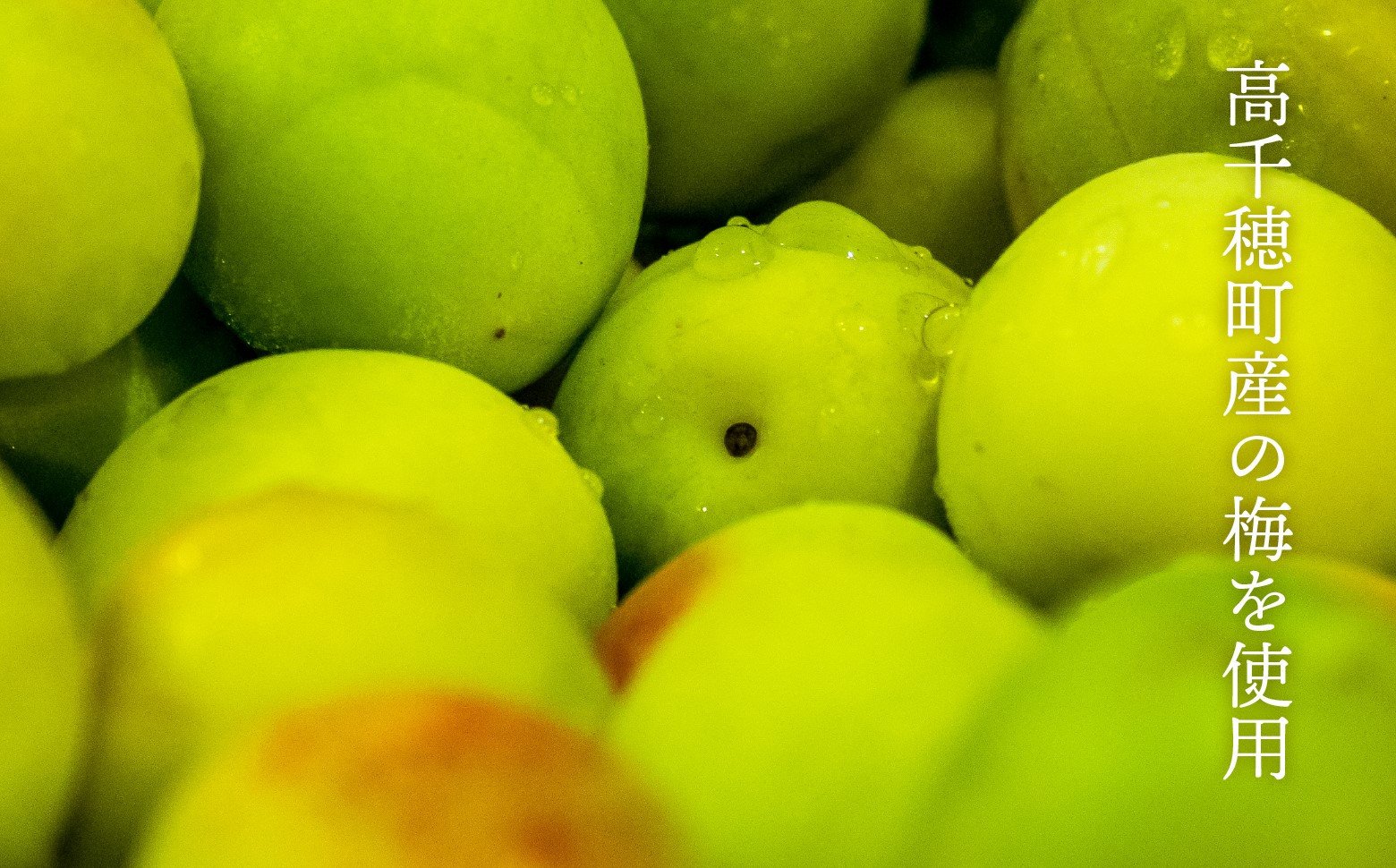 2020年春全国酒類コンクール リキュール部門第1位　熟成梅酒720ml　2本セット　宮崎県高千穂産梅使用_Tk023-013