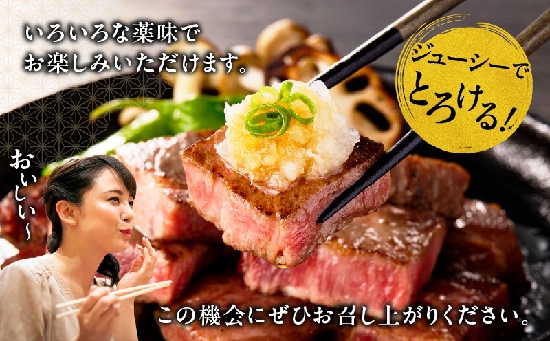 宮崎牛 肩ロース満喫セット(焼肉500g・スライス500g・サイコロ400g)| 宮崎牛 牛肉 お肉 国産牛 ブランド牛 和牛 焼肉 スライス サイコロステーキ 霜降り 贈答用 贈答 贈り物 プレゼント 記念日 誕生日 内祝い グルメ BBQ 焼き肉 アウトドア ミヤチク お祝い ホームパーティー おもてなし |_Tk031-018