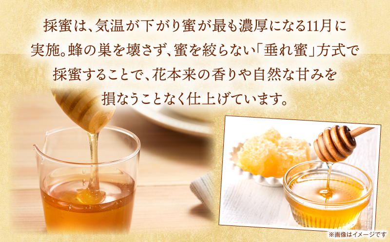【選べる内容量】日本みつばち 高千穂の純粋蜂蜜|蜂蜜 はちみつ 日本みつばち 純粋蜂蜜 国産蜂蜜 天然蜂蜜 垂れ蜜 蜜蜂 希少 蜂蜜 濃厚 花 伝統製法 特産品 ふるさと納税 返礼品 宮崎県 高千穂町 | _Tk005-099-SKU