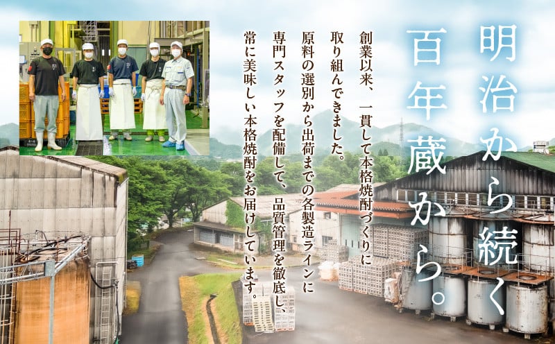 宮崎県産日向夏みかん使用 日向夏リキュール　300ml×6本セット_Tk023-019-h