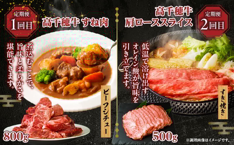 【6か月定期便】高千穂牛煮込み料理6か月定期便_Tk002-t087