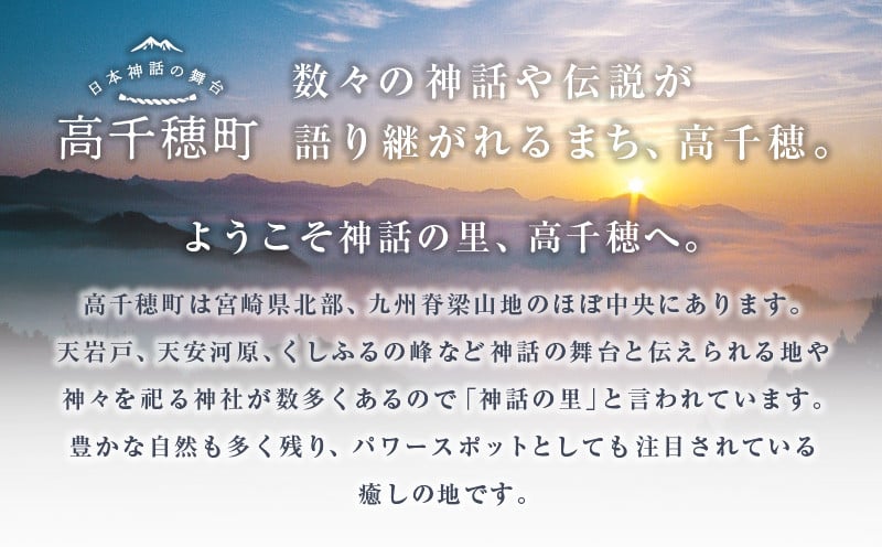 神話の里 高千穂町への応援寄附金【10,000円】（返礼品なし） 宮崎県 高千穂町 神話の里 応援寄附金 活性化 ふるさと納税 宮崎県 高千穂町 _Tk001-014