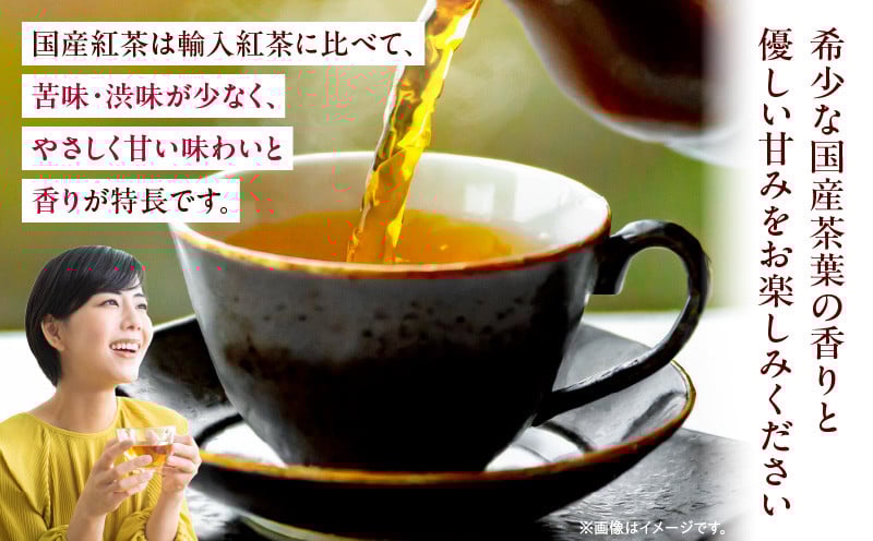 【和紅茶】高千穂紅茶（リーフ）2種4袋セット うんかい30g×2袋＆こうしゅん30g×2袋 国産 紅茶_Tk025-004