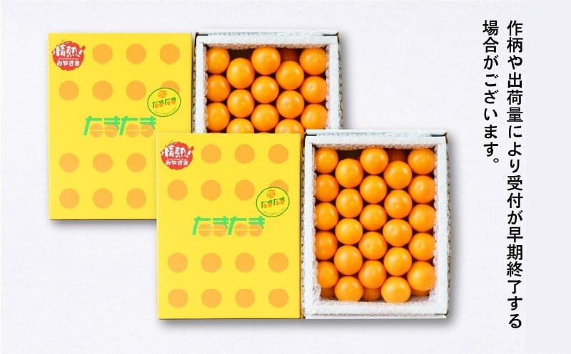 完熟きんかん たまたま 2kg ふるさと納税 果物 フルーツ デザート スイーツ きんかん きんかんたまたま 完熟 宮崎県産 国産 宮崎産 贈答 贈り物 ギフト プレゼント ブランド 柑橘 柑橘系 柑橘類 おやつ グルメ お取り寄せ 宮崎県 高千穂町 _Tk004-050