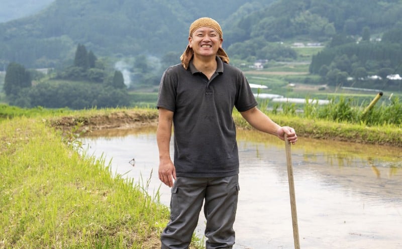 【令和7年産】JA高千穂地区 ひのひかり5kg | 高千穂産 ひのひかり  5kg 1袋 米 お米 白米 ごはん 白飯 精米 ひのひかり 国産 宮崎県産  単一原料米 農作物 農産物 おすそ分け 普段使い 日常 炭水化物 主食 贈答 贈り物 ギフト プレゼント おすすめ 宮崎県 高千穂町 |_Tk004-069