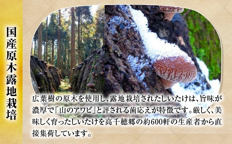 【3ヶ月定期便】 乾燥しいたけ 240g（40g×6袋）×3回 720g_Tk004-t042