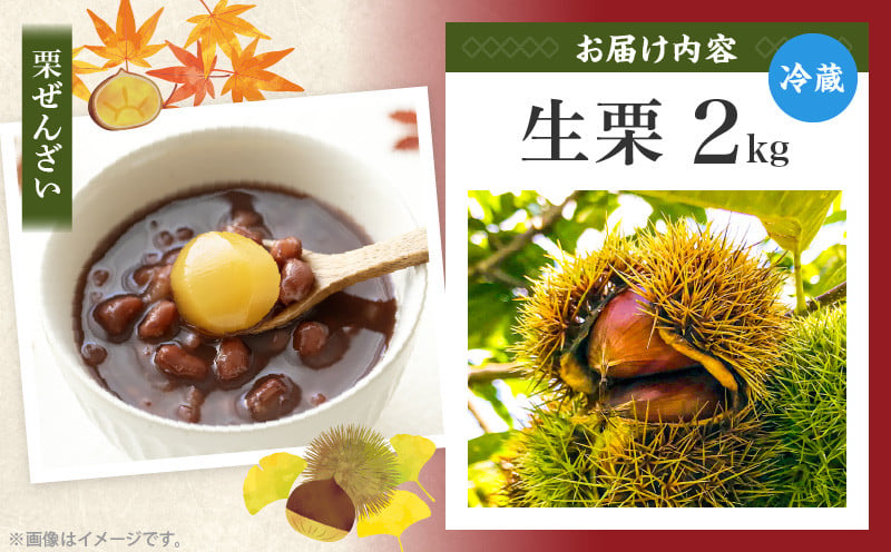 高千穂・ひのかげくり（9月限定）ひのかげ栗 栗 くり 栗きんとん 生栗 和菓子 栗ご飯 和菓子 モンブラン 世界農業遺産 宮崎県 高千穂町  _Tk004-068