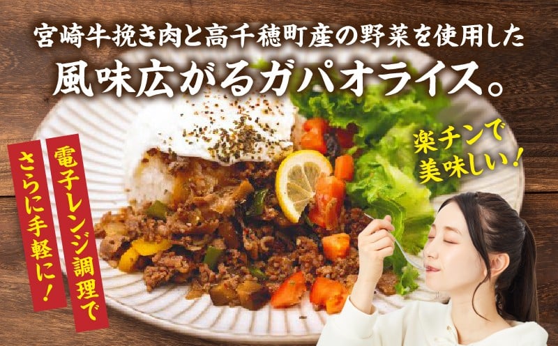 【カフェARIGATO監修】宮崎牛入り 高千穂ガパオライス_Tk005-101