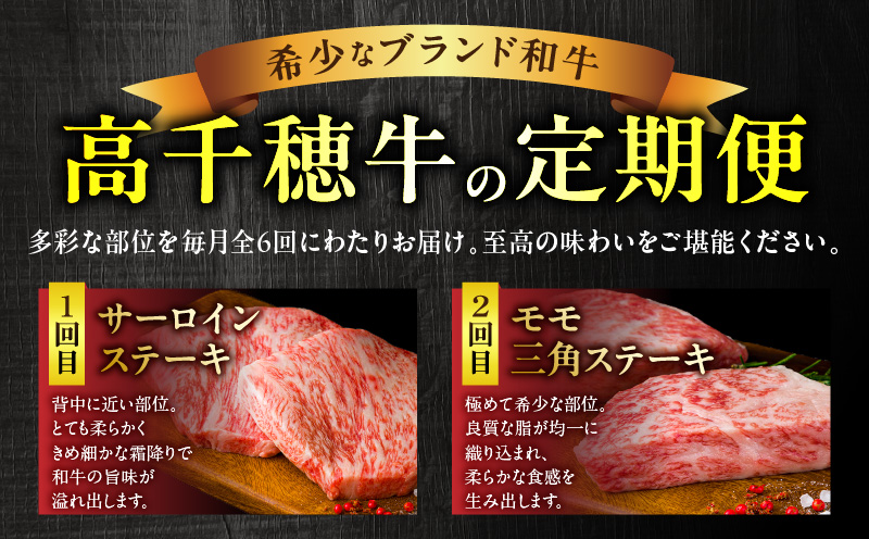 宮崎県産黒毛和牛A4等級以上 高千穂牛ステーキ・スライス定期便（6ヶ月定期便） 牛肉 肉 お肉 精肉 セット 詰め合わせ 定期 6回 ブランド牛 国産牛 黒毛和牛 和牛 サーロイン ステーキ モモ イチボ 肩ロース スライス ウデ すき焼き しゃぶしゃぶ ロース 贈答 贈り物 BBQ グランピング パーティー クリスマス プレゼント 宮崎県 高千穂 _Tk002-t082