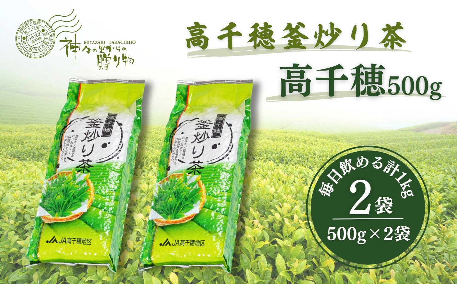 高千穂釜炒り茶（高千穂）500g×2本詰 宮崎県 高千穂町 厳選 緑茶 ふるさと納税 お茶 茶 緑茶 茶葉 釜炒り茶 2番茶 ドリンク 飲み物 ティータイム おもてなし おすそ分け お取り寄せ 宮崎県 高千穂町 _Tk004-056