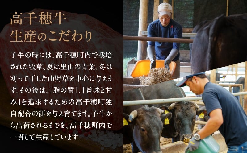 高千穂のぬくもりセット| 牛肉 肉 お肉 ロース スライス ブランド牛 和牛 国産牛 国産黒毛和牛 薄切り しゃぶしゃぶ肉 しゃぶしゃぶ すきやき すき焼き肉 贈答 贈り物 ギフト お取り寄せ 鍋用 鍋 パーティー |_Tk002-077