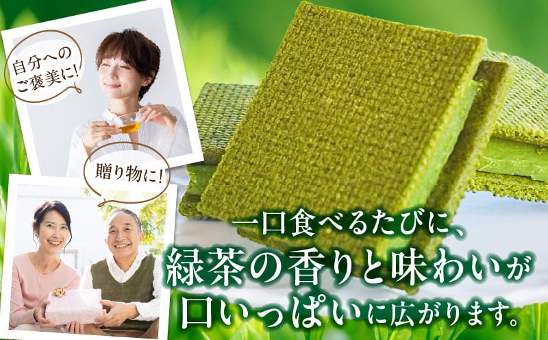 高千穂郷産 緑茶のガナッシュ_Tk028-014