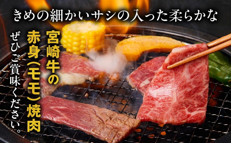 宮崎牛赤身（モモ）焼肉500g_Tk031-016y