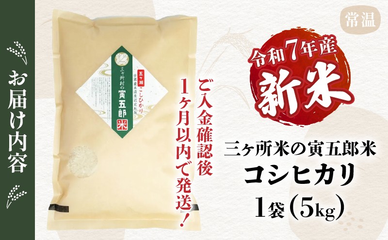 《令和7年産　新米》三ヶ所米の寅五郎米コシヒカリ 5kg_Tk019-042
