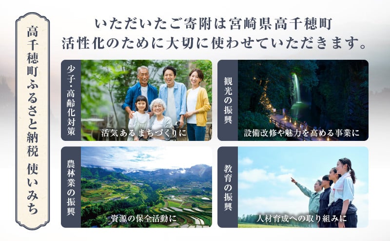 神話の里 高千穂町への応援寄附金【1,000円】（返礼品なし） 宮崎県 高千穂町 神話の里 応援寄附金 活性化 ふるさと納税 宮崎県 高千穂町 _Tk001-012
