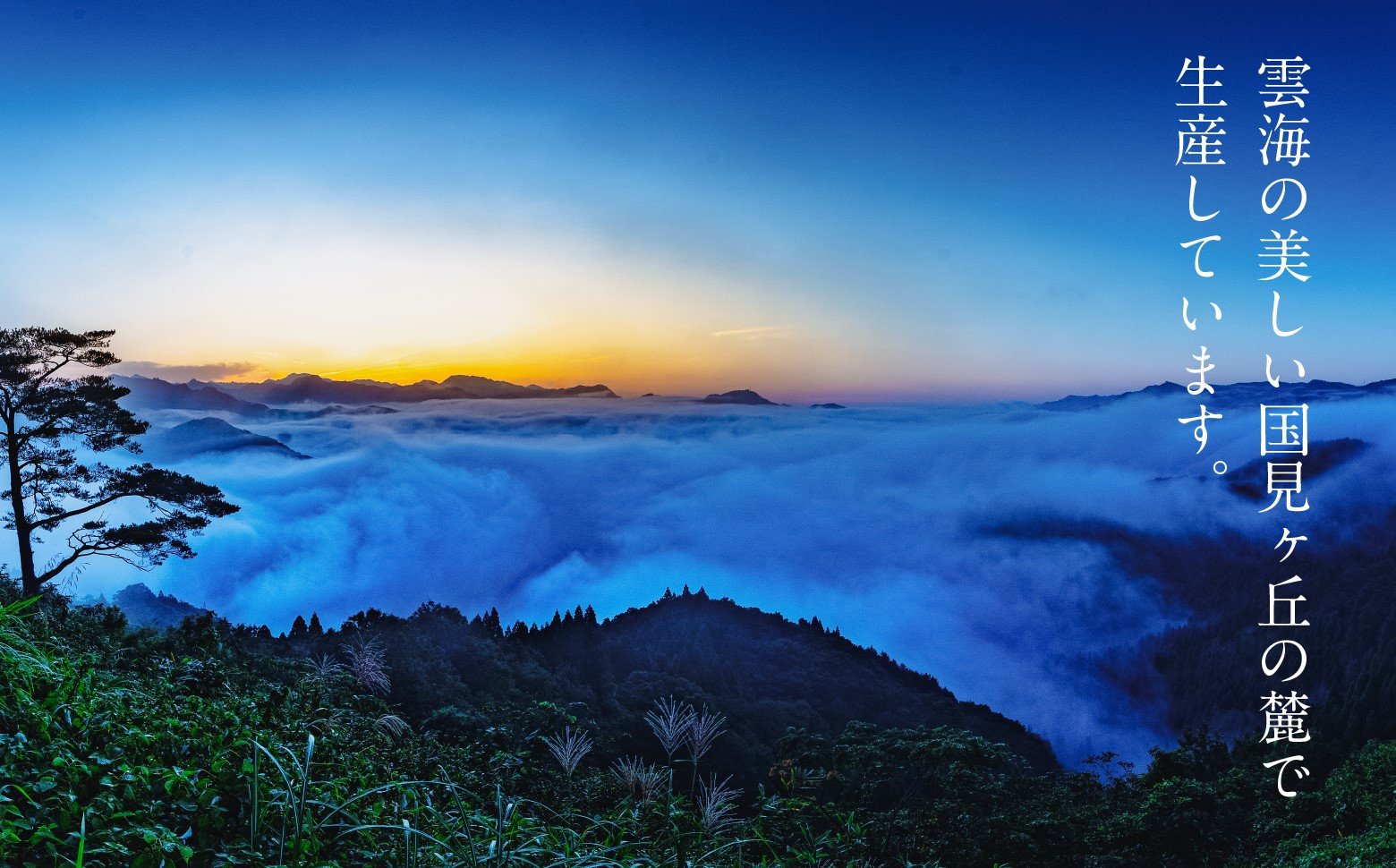 2020年春全国酒類コンクール リキュール部門第1位　熟成梅酒720ml　2本セット　宮崎県高千穂産梅使用_Tk023-013