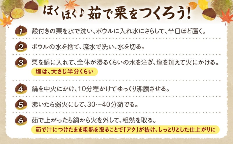 高千穂・ひのかげくり（9月限定）ひのかげ栗 栗 くり 栗きんとん 生栗 和菓子 栗ご飯 和菓子 モンブラン 世界農業遺産 宮崎県 高千穂町  _Tk004-068