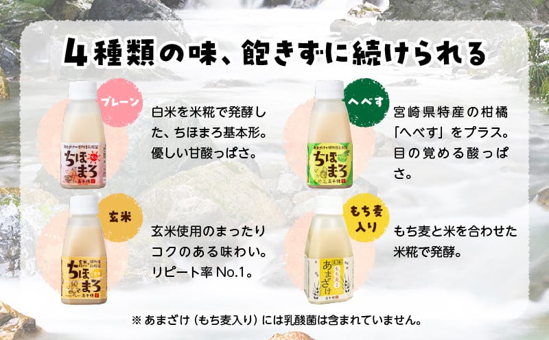 乳酸菌入りあまざけ ちほまろ 150g　12本セット【プレーン へべす 玄米 もち麦】ふるさと納税 ノンアルコール 贈答 贈り物 おすそ分け 日課 ドリンク 飲み物 乳酸飲料 飲料 宮崎県 高千穂町  _Tk015-017-k12