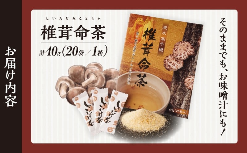 椎茸命茶_Tk005-112