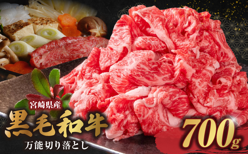和牛おまかせ万能切落し700g 黒毛和牛 和牛 国産牛 牛肉 切り落とし 切落し 切り落し 霜降り 霜降り肉 赤身 混在 おまかせ肉 万能肉 家庭用 大容量 700g 小分け 350g 冷凍 有田牧場 エモ―牛 生産者直送 ブランド牛 受賞牛 品評会受賞 ワールドステーキチャレンジ 生産者部門 最優秀賞 宮崎県 高千穂町 ふるさと納税 返礼品_Tk055-001