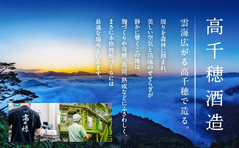 宮崎県産日向夏みかん使用 日向夏リキュール　300ml×6本セット_Tk023-019-h