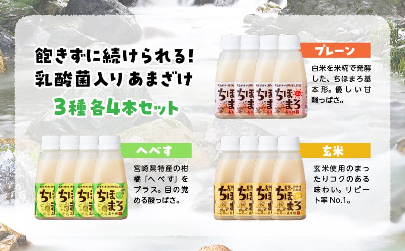 乳酸菌入りあまざけ ちほまろ 150g　12本セット【プレーン へべす 玄米】 ふるさと納税 ノンアルコール 贈答 贈り物 おすそ分け 日課 ドリンク 飲み物 乳酸飲料 飲料 宮崎県 高千穂町 _Tk015-017-b12