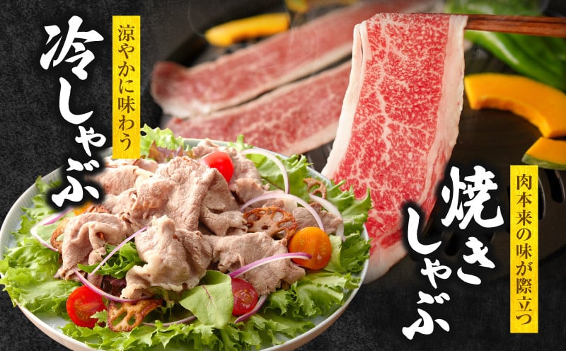 宮崎県産黒毛和牛赤身（ウデまたはモモ）・霜降り焼きしゃぶ1kg_Tk031-017-01