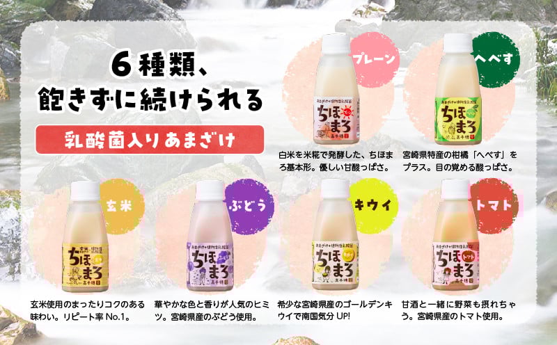 乳酸菌入りあまざけ ちほまろ 150g　30本セット【プレーン へべす 玄米 キウイ トマト ブドウ】ふるさと納税 セット 飲み比べ 味比べ 詰め合わせ 無添加 砂糖不使用 日課 ノンアルコール 飲み物 ドリンク 飲料 お歳暮 贈り物 ギフト プレゼント 宮崎県 高千穂町 _Tk015-031-a30