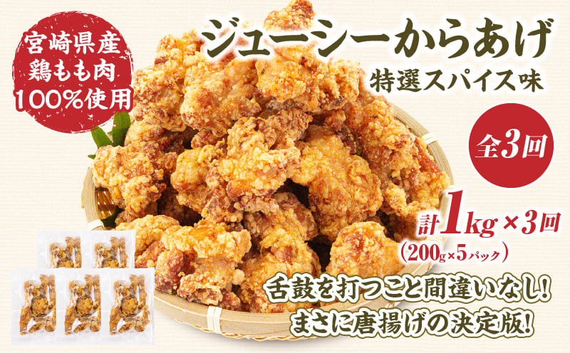 【3か月定期便】レンジでプロ味！からあげ3か月定期便  鶏肉 肉 鶏モモ肉 肉惣菜 惣菜 お惣菜 調理済み 冷凍 個包装 使い勝手 普段使い お弁当 おかず 冷凍食品 冷凍からあげ 食品 小分け 便利 レンジ グルメ おすそ分け 簡単調理 宮崎 高千穂 _Tk005-t043