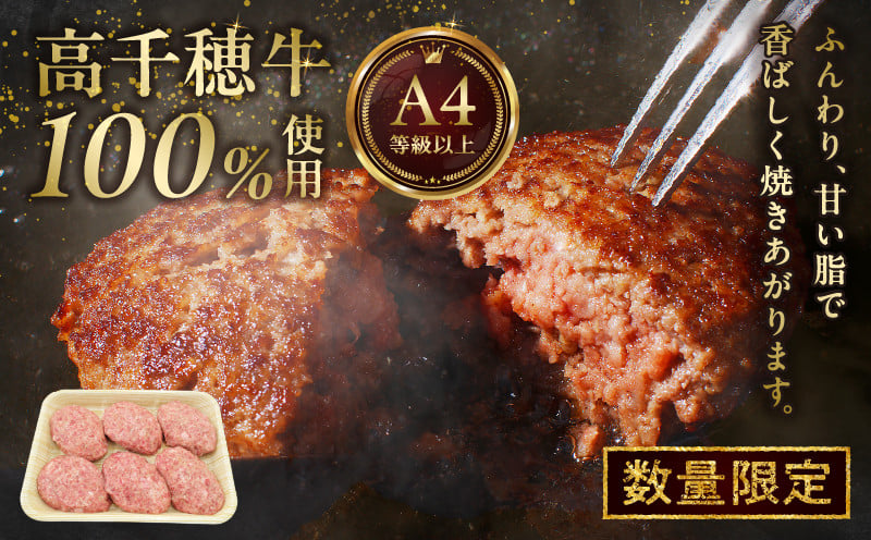 数量限定 宮崎県産黒毛和牛A4等級以上 高千穂牛 100％使用！ 肉汁あふれる手作り ハンバーグ 6個入×1パック 計780g 高千穂牛 高千穂牛ハンバーグ 和牛ハンバーグ 人気 牛肉100％ 和牛 牛 牛肉 肉 普段使い パック 冷凍 惣菜 お惣菜 贈答 贈り物 パーティー ギフト クリスマス BBQ お弁当 おかず 料理 簡単調理 プレゼント 手作り _Tk002-061-01